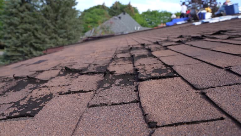 Best Asphalt Shingles Roofing  in Seaside, CA