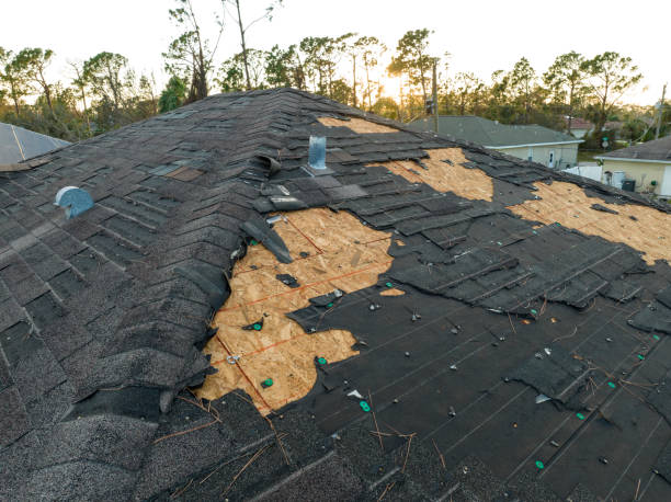 Best Skylights  in Seaside, CA